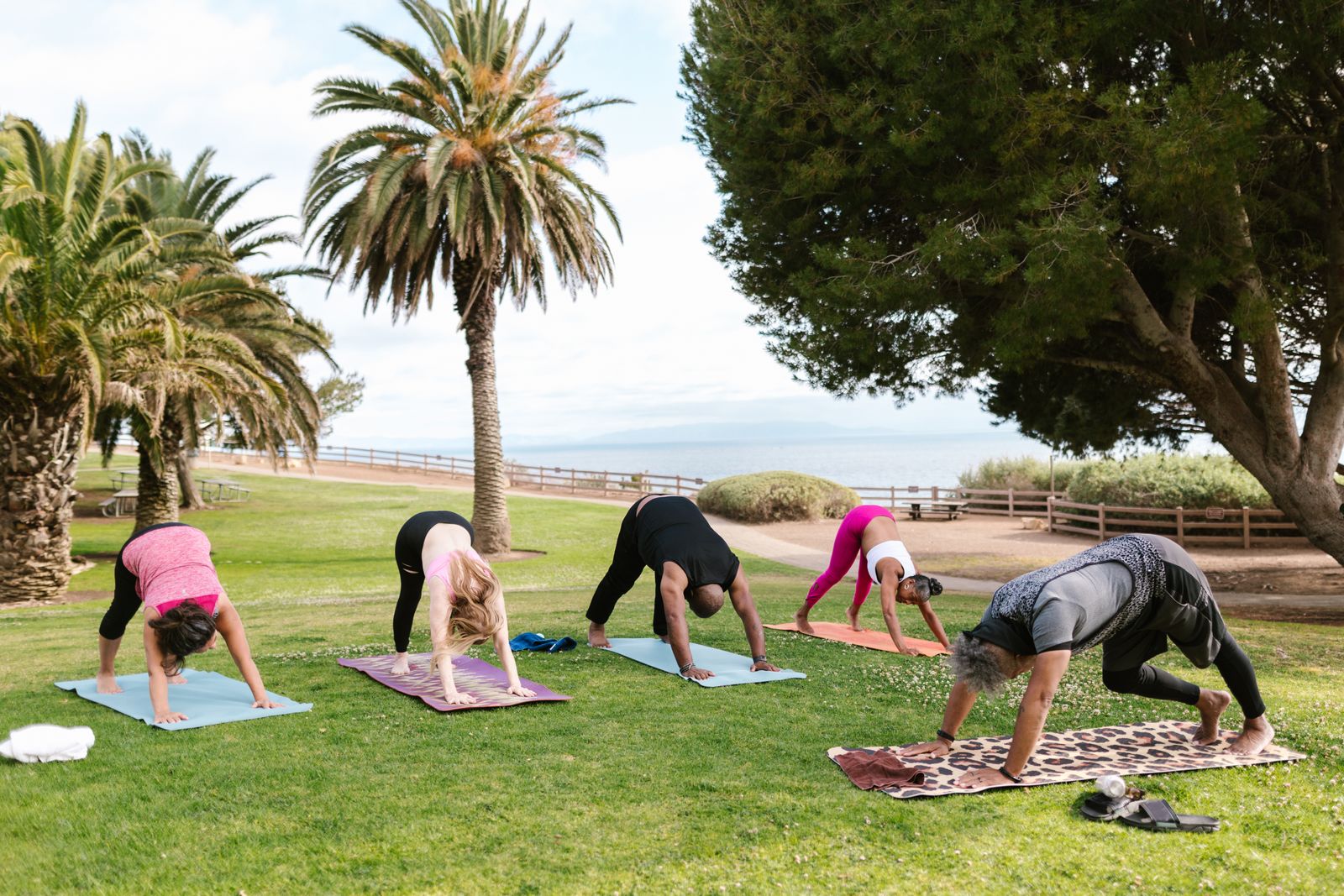 Outdoor group yoga session beneath palm trees
