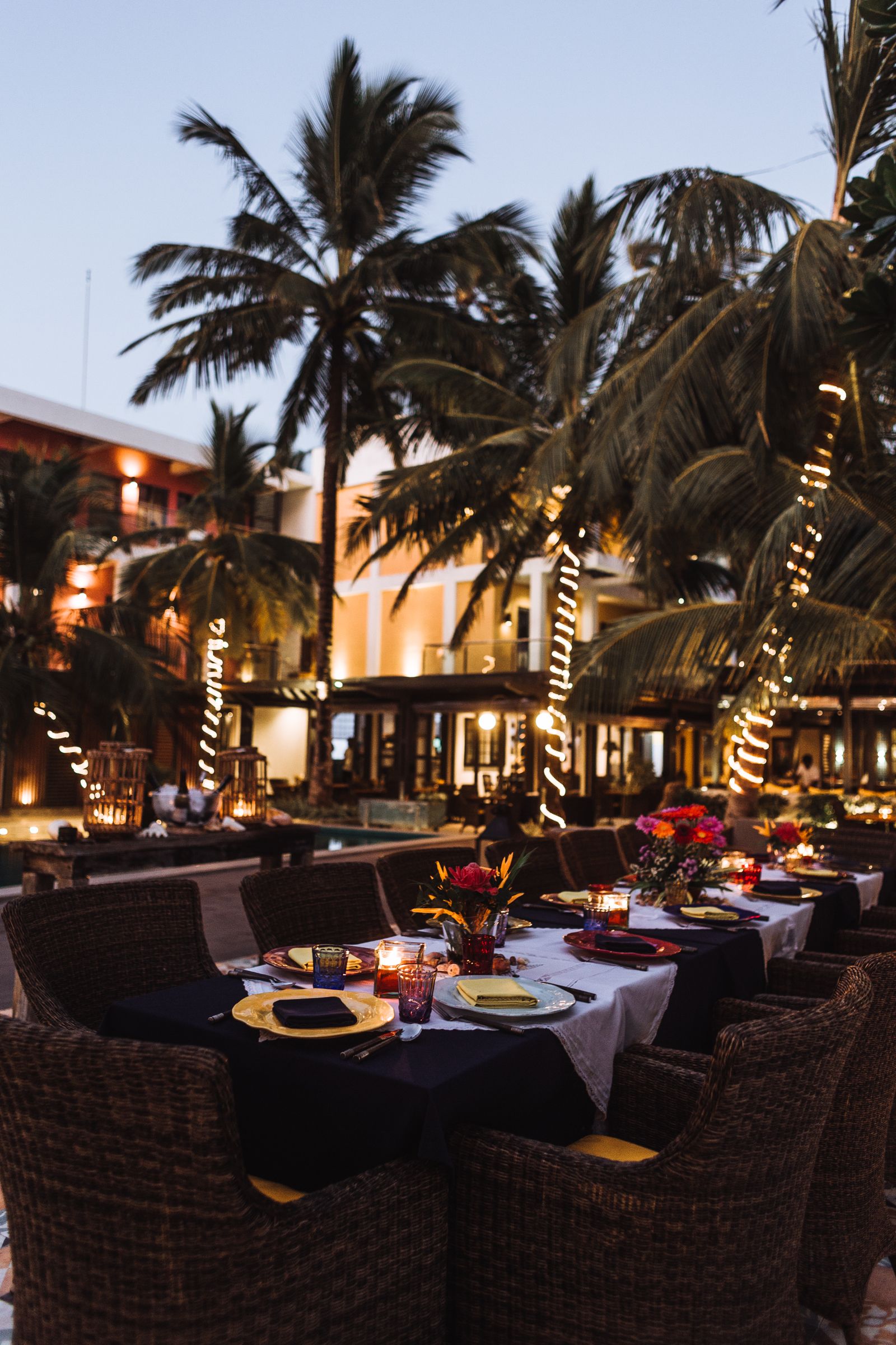 Candlelit tropical dinner table beneath palm trees